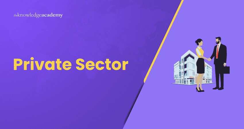 Private Sector Private Sector Definition