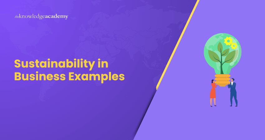 Sustainability in Business Examples Sustainability in Business Examples