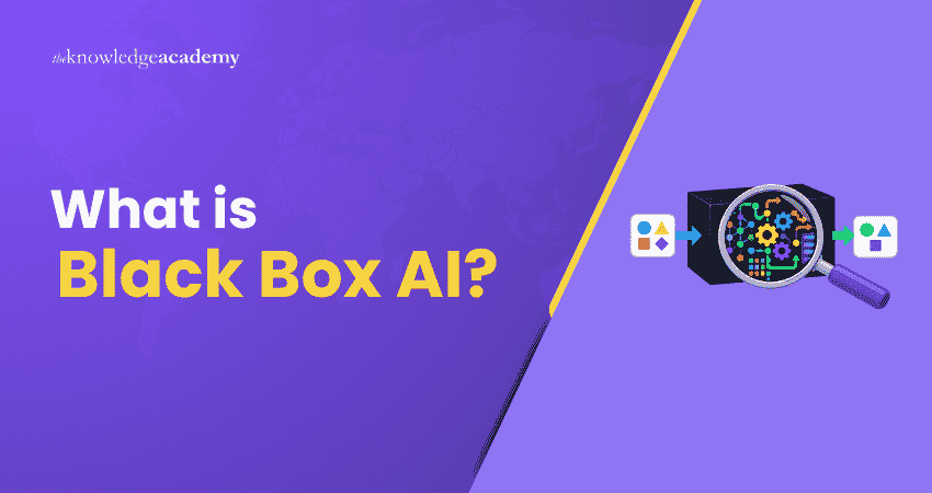 What is Black Box AI? What is Black Box AI: How it Works, Characteristics and Examples