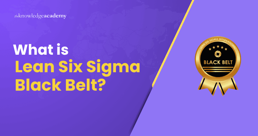 What is Lean Six Sigma Black Belt?