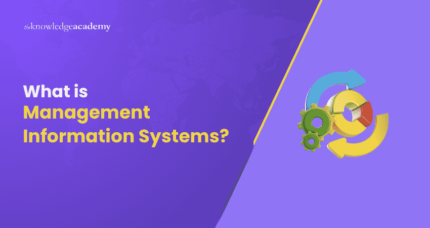 What is Management Information Systems: Explained