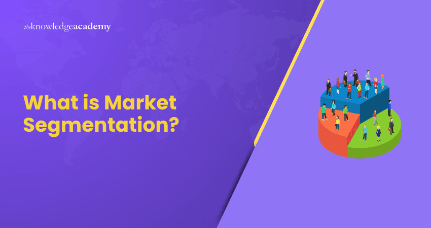 What is Market Segmentation