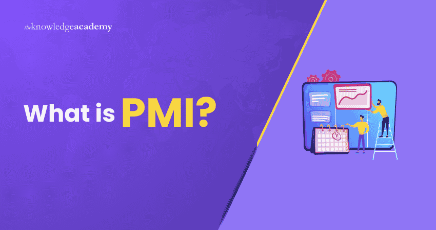 What is PMI? Explained