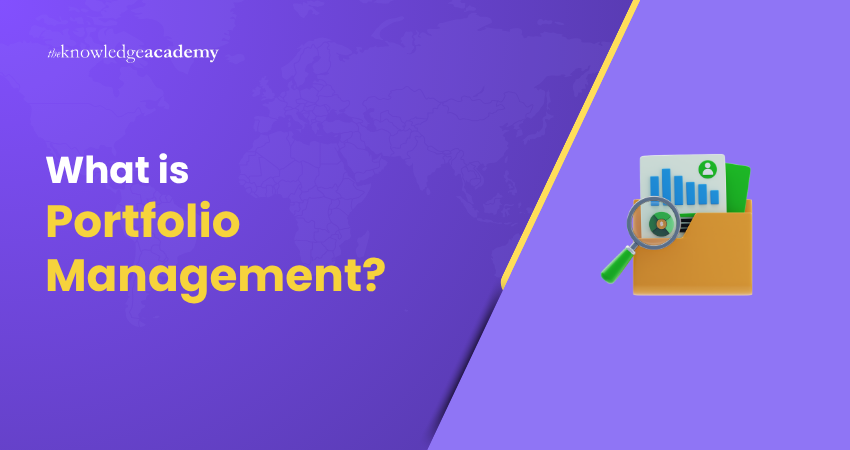 What is Portfolio Management? Portfolio Management Meaning