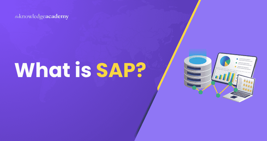 What is SAP? SAP Explained in Detail