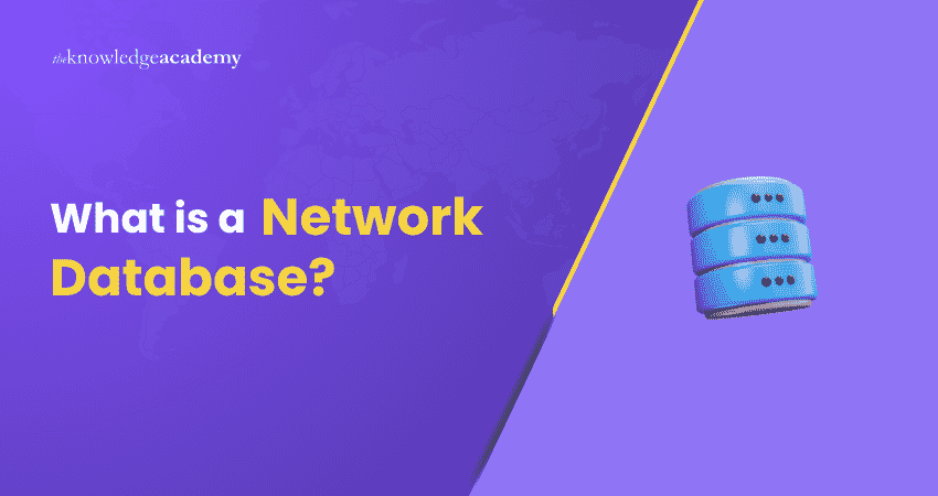 What is a Network Database and How Does it Work?
