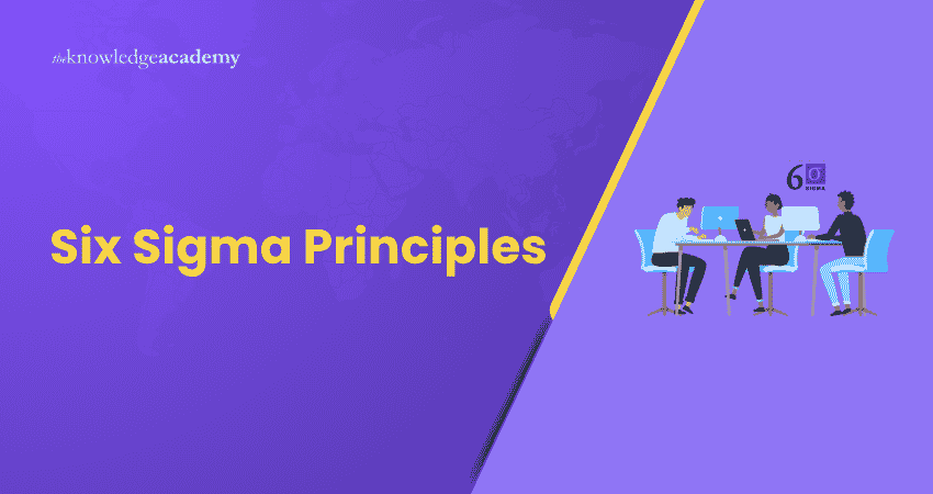 Six Sigma Principles
