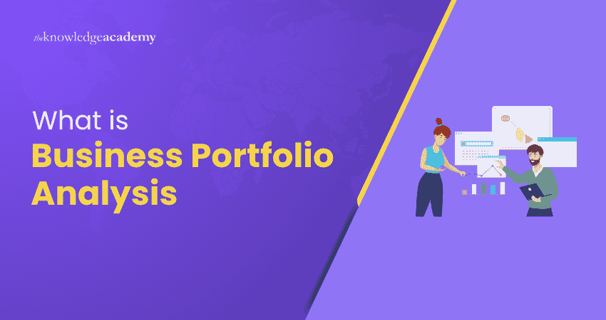 What is Business Portfolio Analysis? Understanding Business Portfolio Analysis