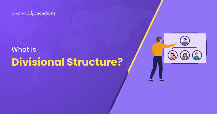 What is Divisional Structure? Divisional Structure Explained