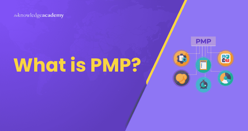 What is PMP? What is PMP?