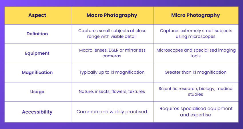 Macro vs Micro Photography: Key Differences