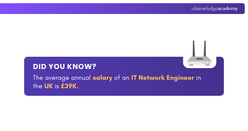 IT Network Engineer