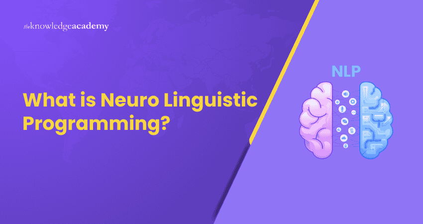 What is Neuro Linguistic Programming?