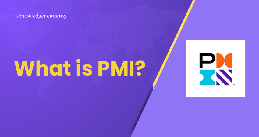 What is PMI? What is PMI