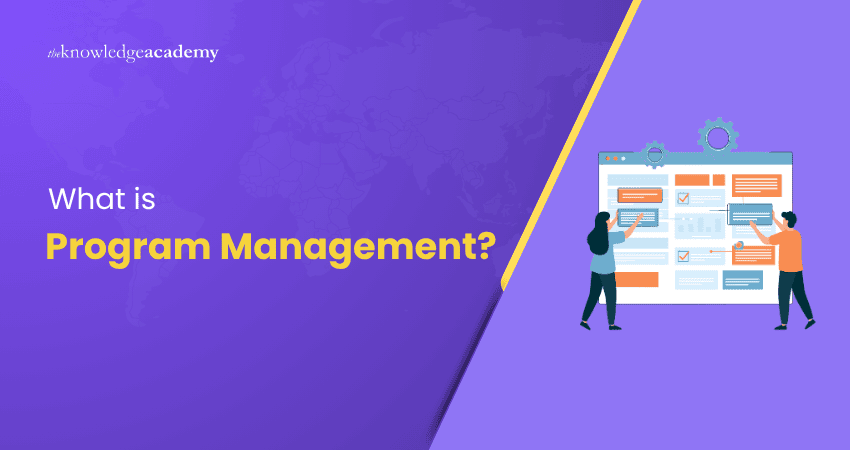 What is Program Management