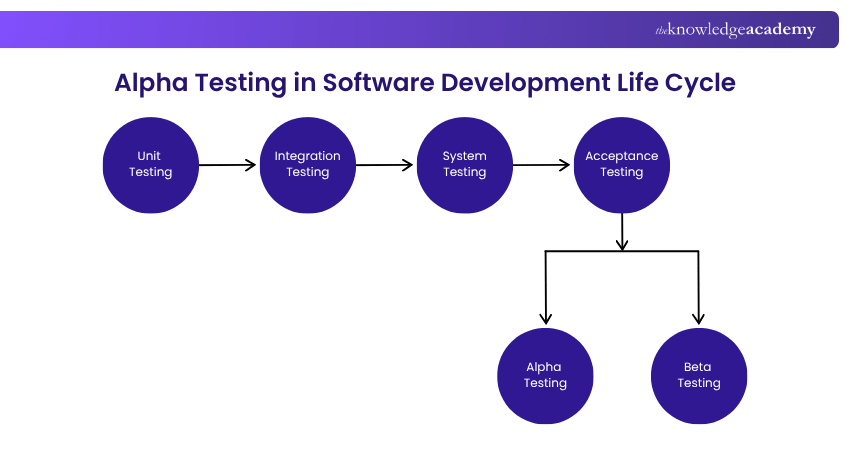 Alpha Testing in SDLC