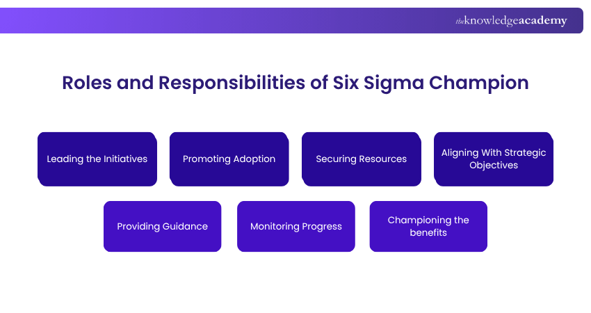 Six Sigma Champion Roles and Responsibilities