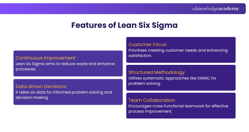Features of Lean Six Sigma Features of Lean Six Sigma