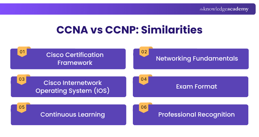 CCNA vs CCNP: Similarities