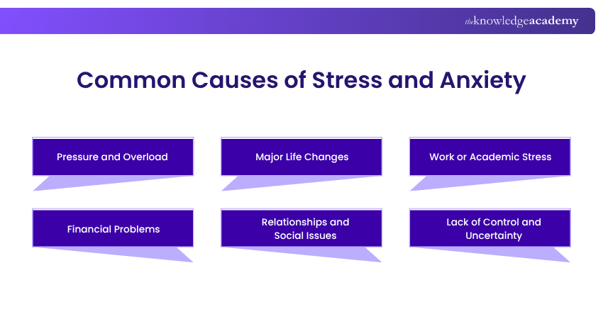 Key Causes of Stress and Anxiety Common Causes of Stress and Anxiety