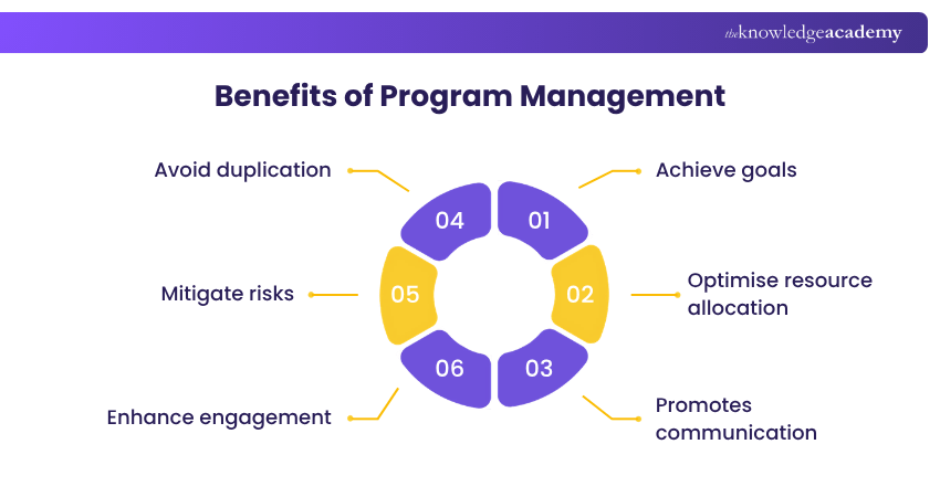 Benefits of Program Management