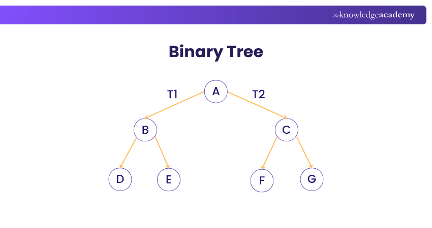 Binary Tree Binary Tree Structure