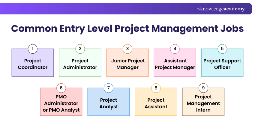 Common Entry Level Project Management Jobs Common Entry Level Project Management Jobs