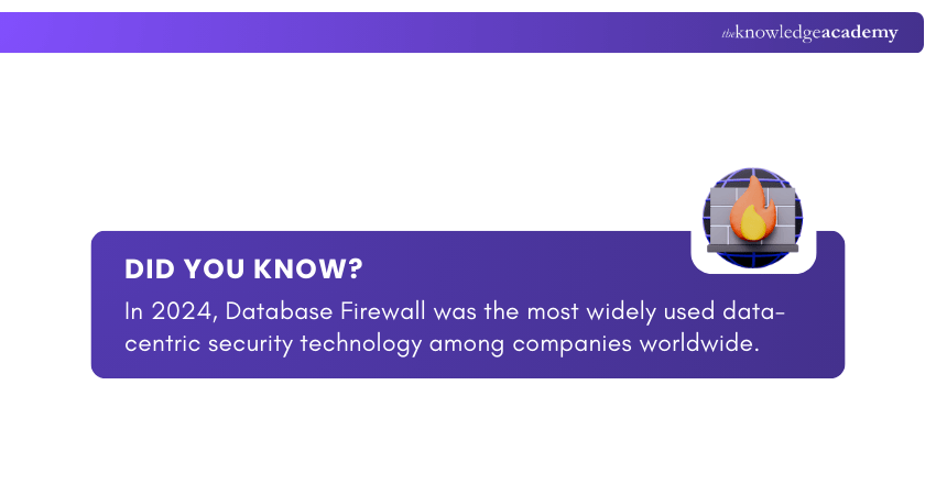 Database Security Usage Fact
