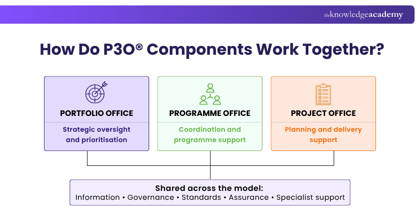 How Do P3O Components Work Together? P3O Components Working Together