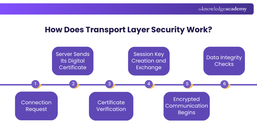 How Does Transport Layer Security Work