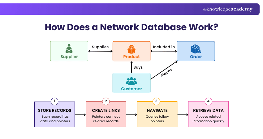 Network Database Working