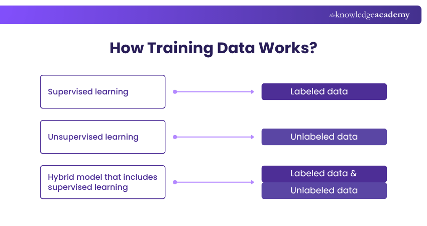 How Training Data Works How Training Data Works