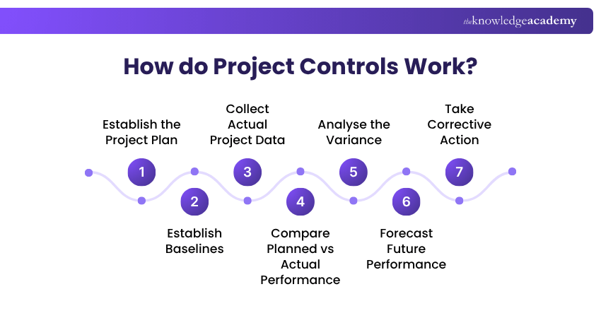 How do Project Controls Work? Working of Project Controls