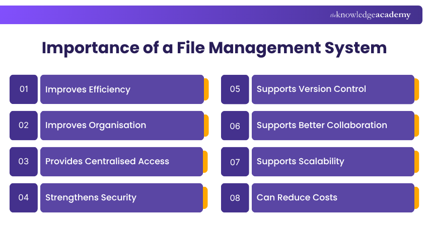 Advantages of a File Management System Advantages of a File Management System