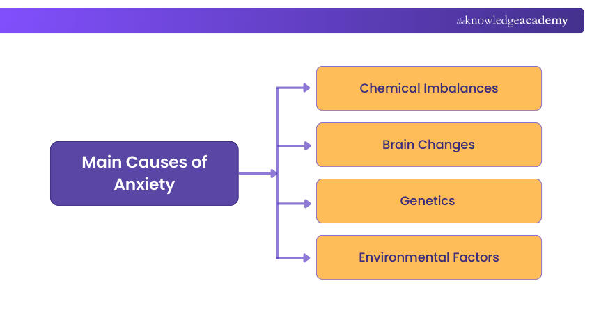 Main Causes of Anxiety Main Causes of Anxiety