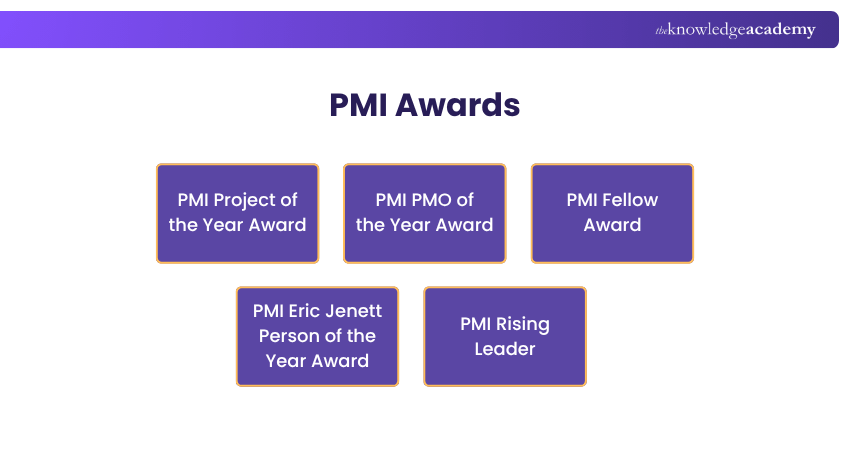 PMI Award Categories