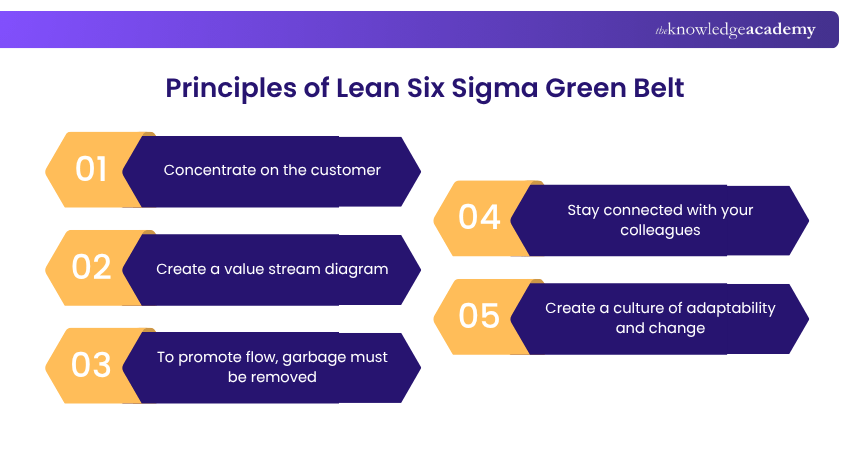 Principles of Lean Six Sigma Green Belt