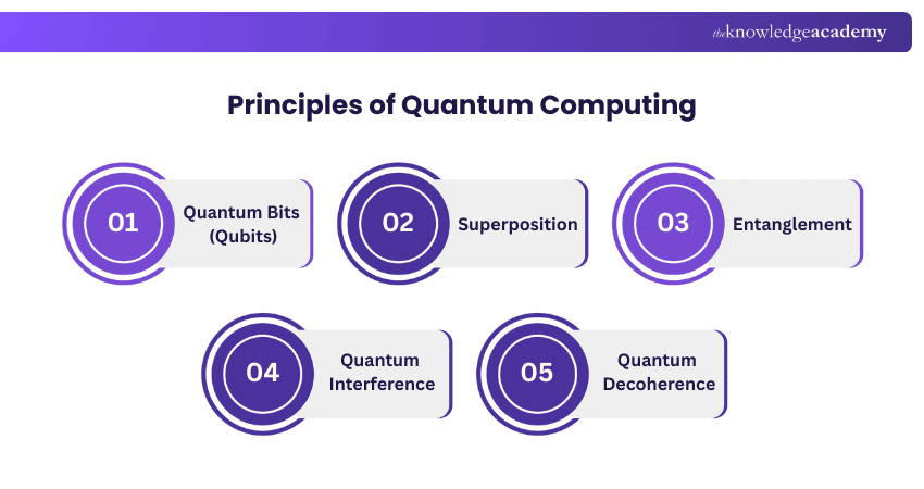 Principles of Quantum Computing