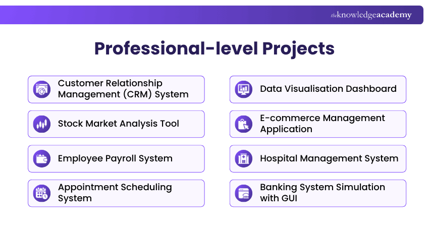 Professional-level Projects Professional-level Projects Explained