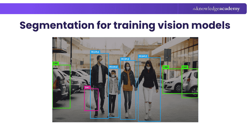Segmentation for training vision models