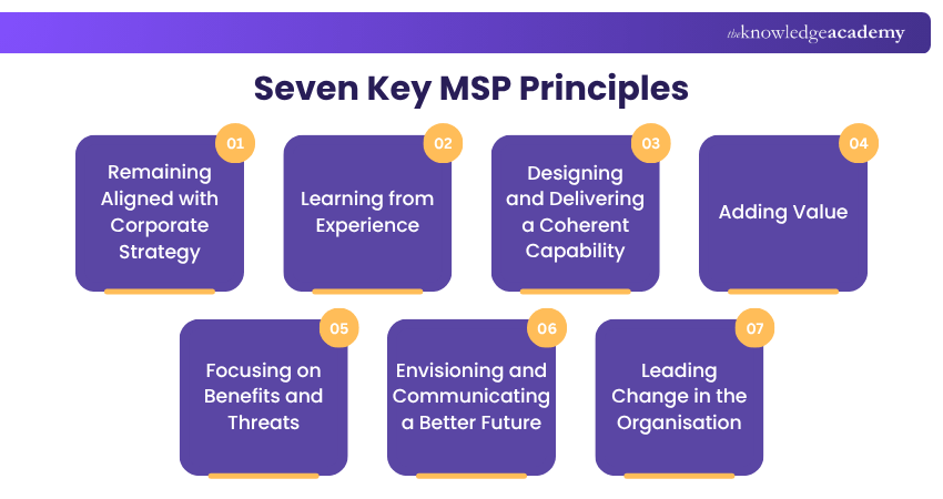 List of 7 MSP Principles