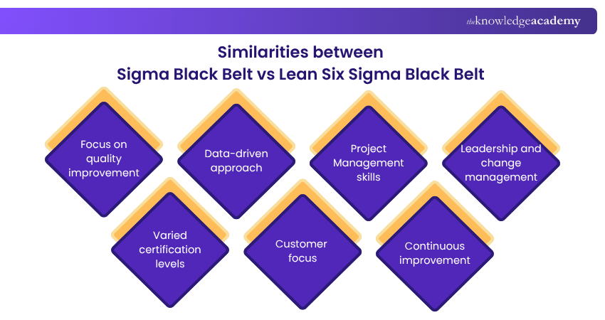 Similarities between Lean Six Sigma Black Belt vs Six Sigma Black Belt Similarities between Lean Six Sigma Black Belt vs Six Sigma Black Belt
