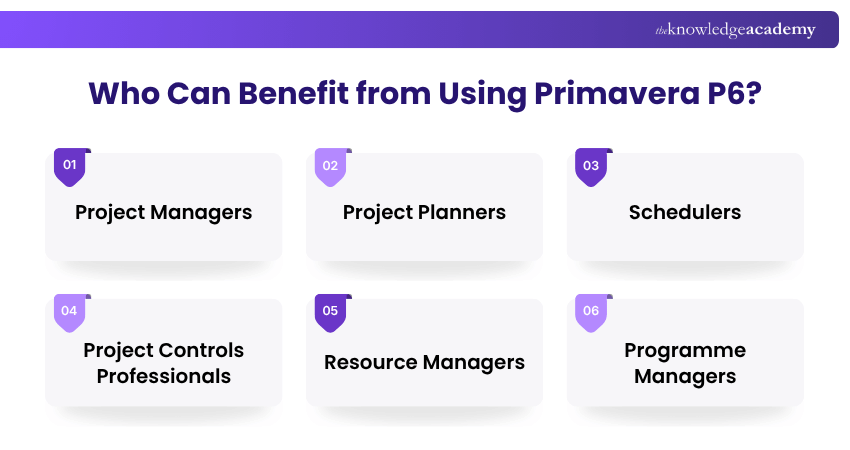 Primavera P6 Benefits Primavera P6 Benefits