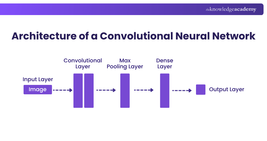 Convolutional Neural Networks (CNN)