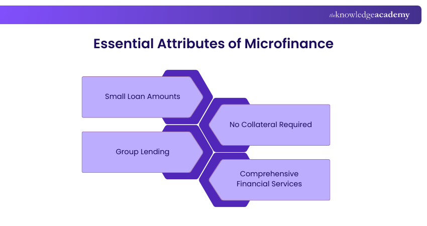 Essential Attributes of Microfinance