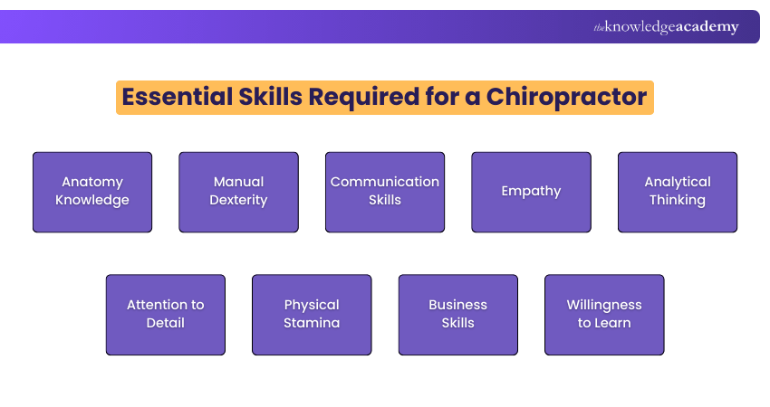Essential Skills Required for a Chiropractor
