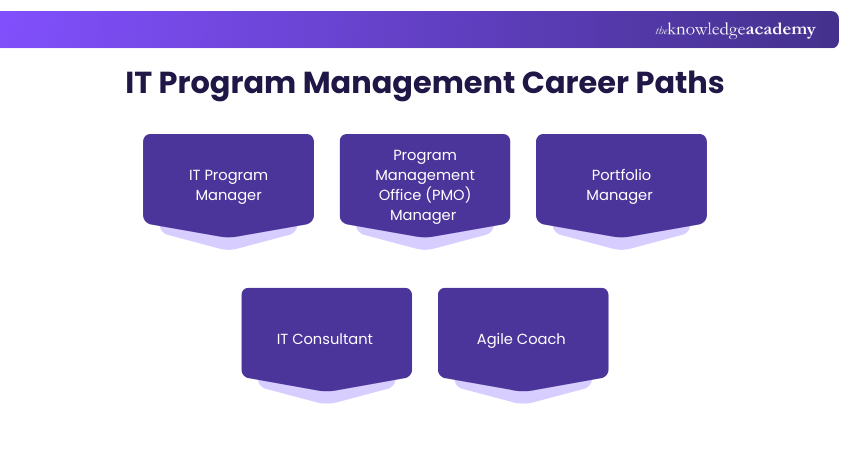 IT Program Management Career Paths IT Program Management Career Paths