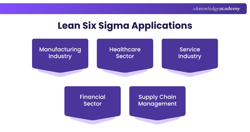 Lean Six Sigma Applications
