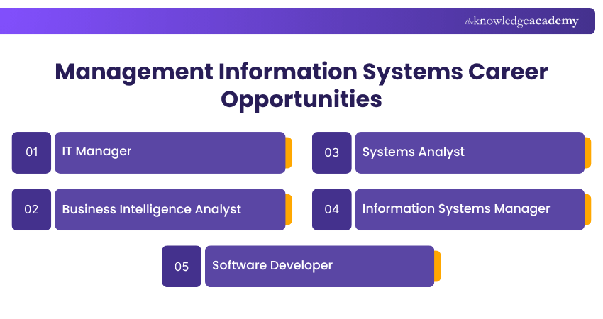Management Information Systems Job Roles