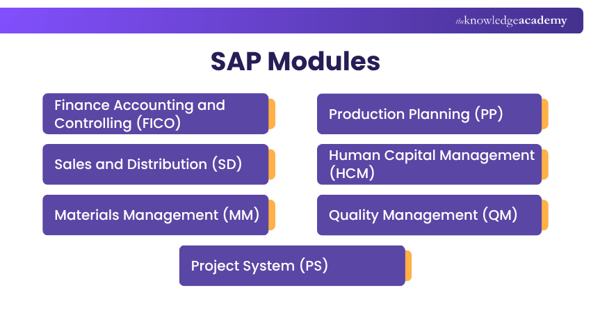 SAP Modules SAP Modules Explained
